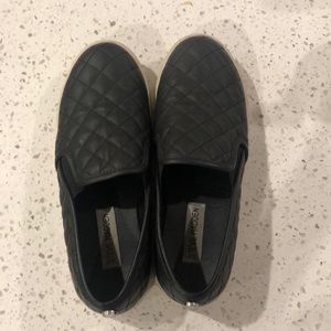 Steve Madden eccentric sneakers